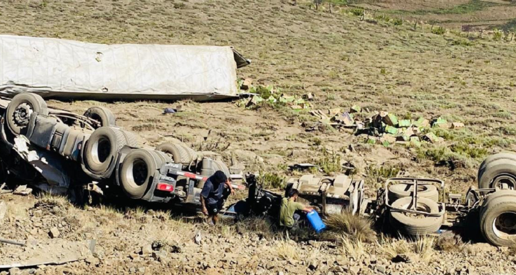 Accidente fatal en Lonquimay conductor argentino murió tras desbarrancar camión en ruta internacional