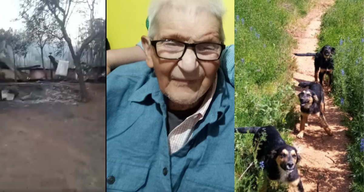 Capturas