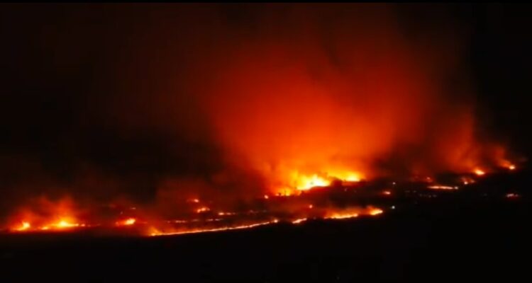 Incendio en Chillán