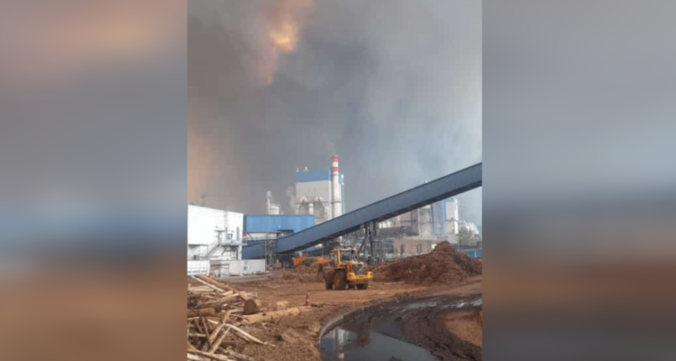 Arauco declara “Alerta Negra” y evacúa a trabajadores de Nueva Aldea por incendio forestal