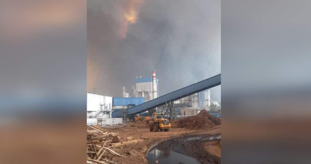 Arauco declara “Alerta Negra” y evacúa a trabajadores de Nueva Aldea por incendio forestal