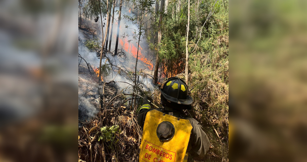 Valdivia incendio forestal