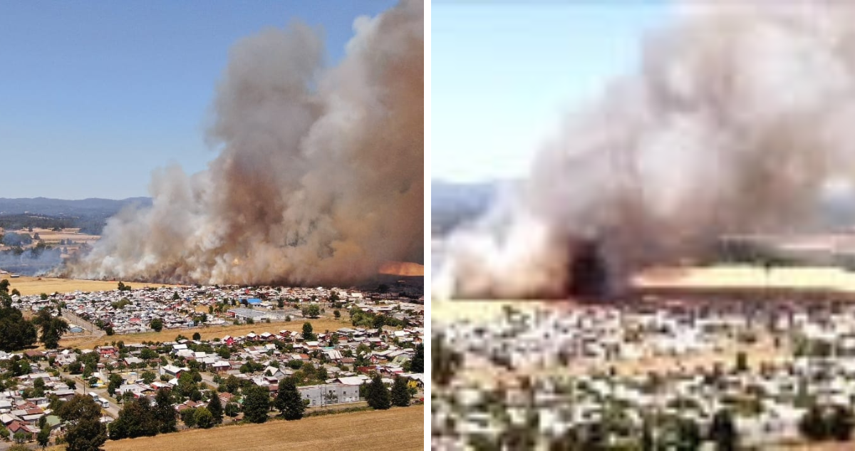 Alerta Roja en La Araucanía
