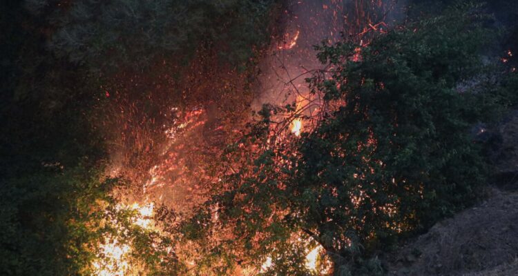 Se mantiene alerta roja en Palena