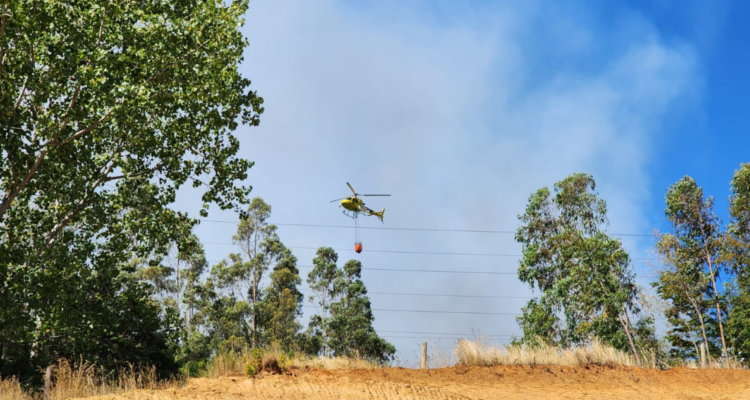 Alerta Roja Valdivia
