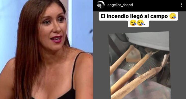Angélica Sepúlveda