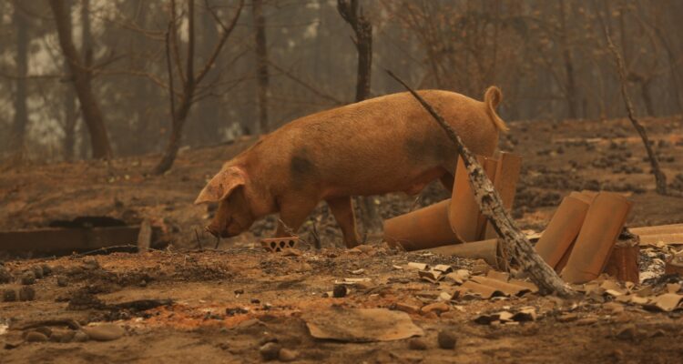Diego Martin | Agencia UNO
