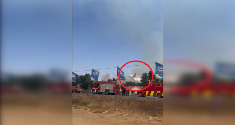 Incendio forestal amenaza centro recreativo Antu y parque zoológico en Quillón