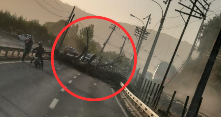 Árbol quemado en incendio cae en ruta Chiguayante – Hualqui: golpeó cables, cortó tránsito y Biotrén