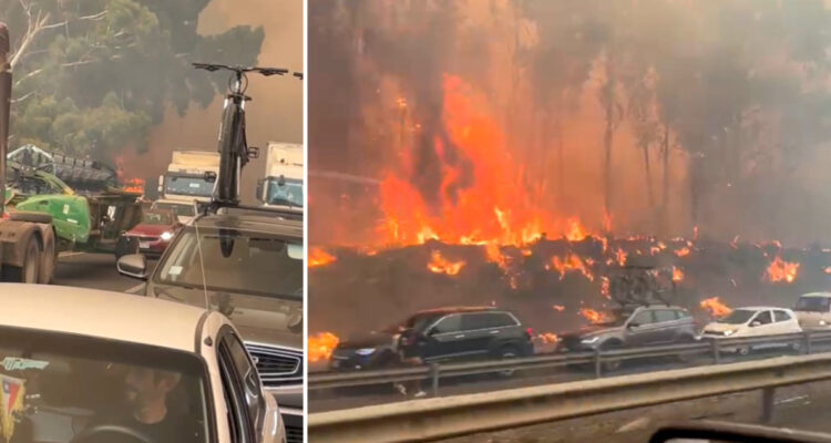 Minutos de angustia para automovilistas en Ruta 5 en La Araucanía: taco en puente con fuego al costado