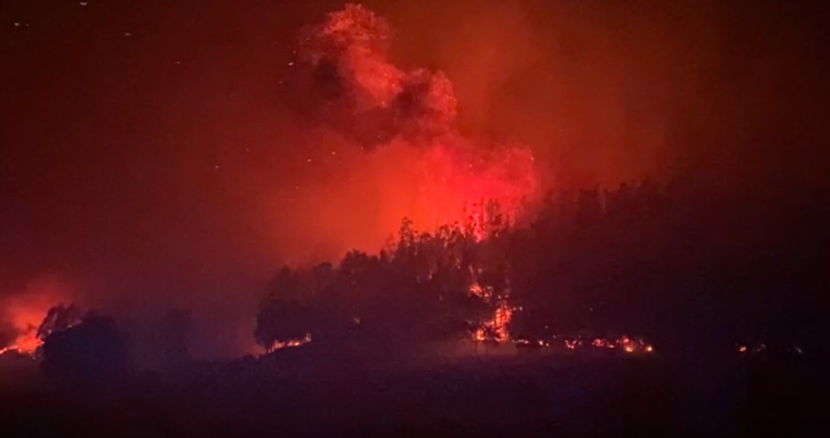 Incendios en Arauco, Bío Bío
