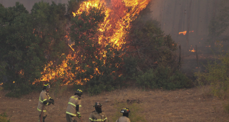 Gobierno detenidos incendios
