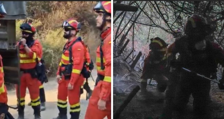 Balance de incendio en Bío Bío