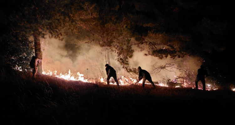Balance incendios forestales