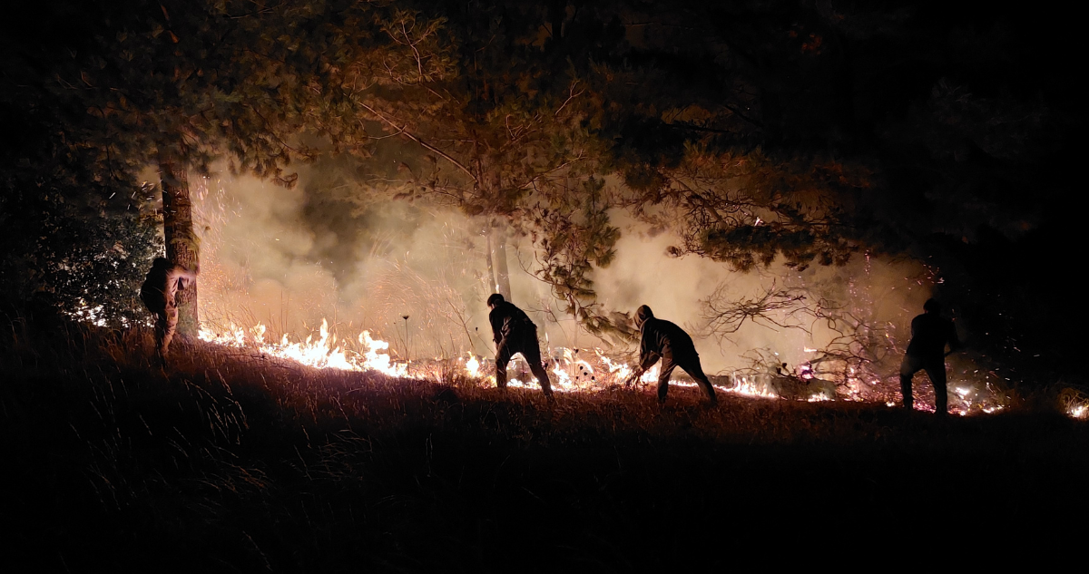 Balance incendios forestales