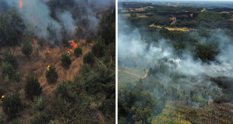 Incendio en Río Negro