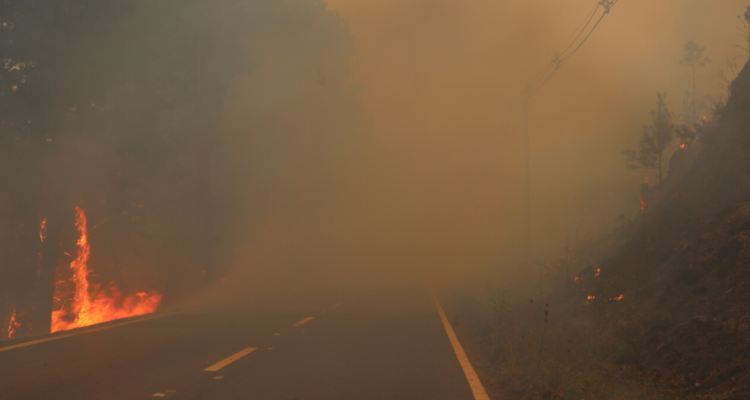 balance – incendios