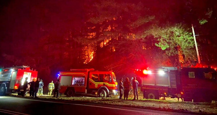 Bombero acusa que “personas con chalecos reflectantes” iniciaron focos en la Ruta de la Madera