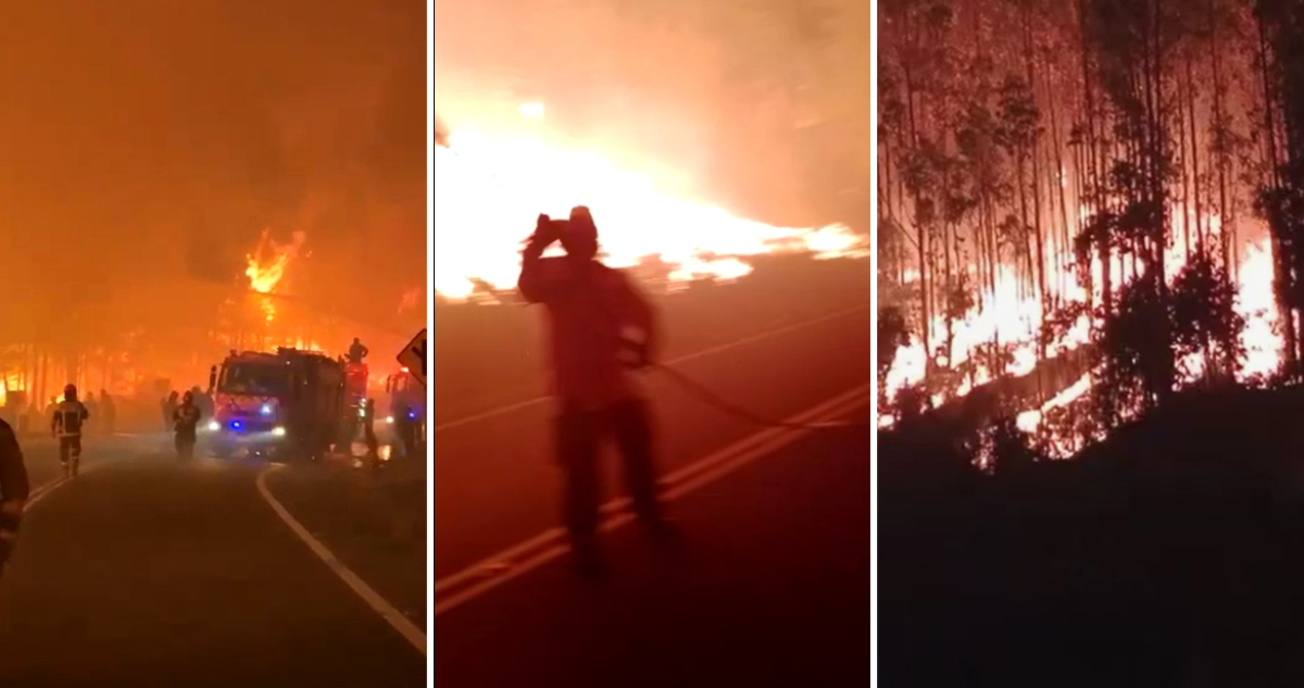 Captura de videos