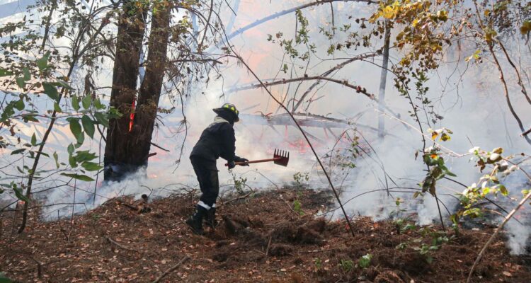 Al menos tres bomberos sufrieron quemaduras mientras combatían incendio forestal en Quillón