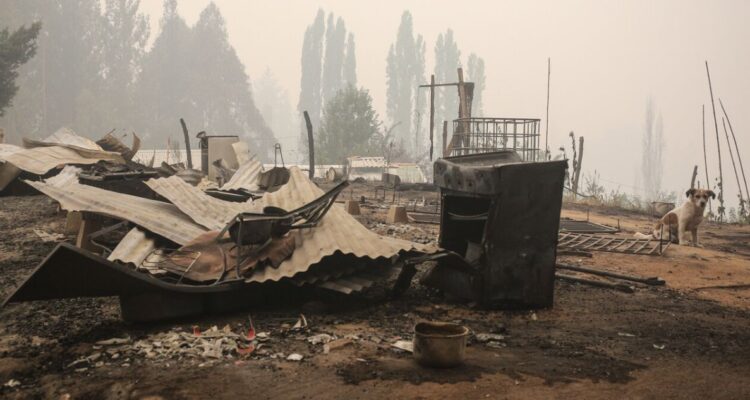 Bono de Recuperación: comienza pago a segunda nómina de hogares afectados por incendios forestales