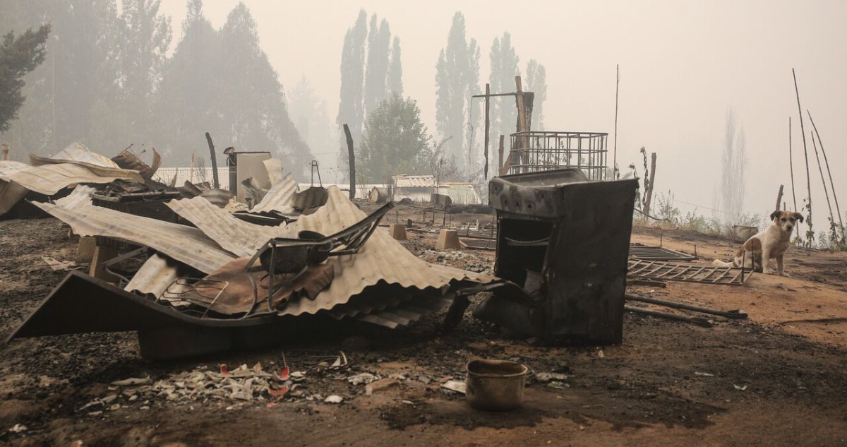 Bono de Recuperación: comienza pago a segunda nómina de hogares afectados por incendios forestales