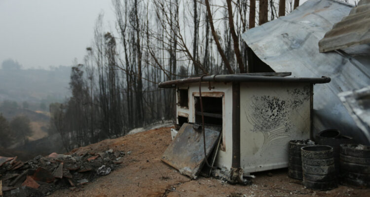 Gobierno inicia pago de Bono de Recuperación para familias afectadas por incendios
