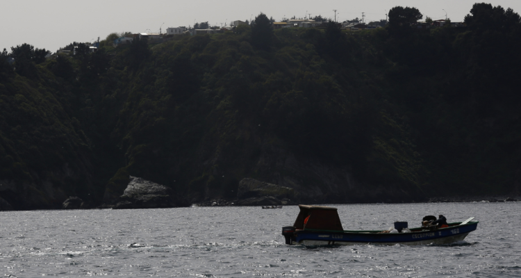 bote pescadores Papudo