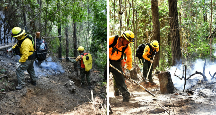 Brigadistas mexicanos y españoles en el Bío Bío