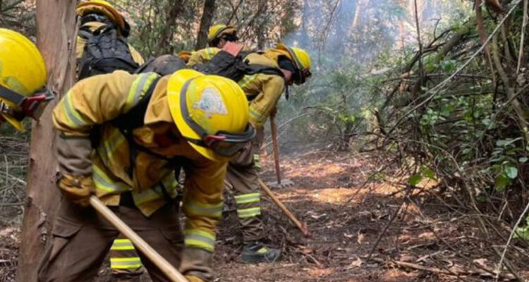 Corma califica de “inoportuno” iniciar debate de nuevas regulaciones forestales en medio de emergencia