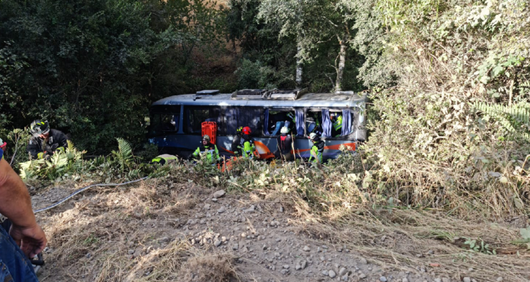 Bus se volcó en carretera de La Araucanía: 12 pasajeros resultados lesionados