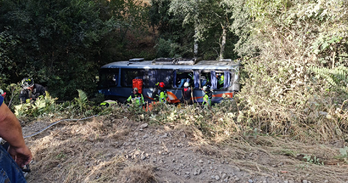 Bus se volcó en carretera de La Araucanía: 12 pasajeros resultados lesionados