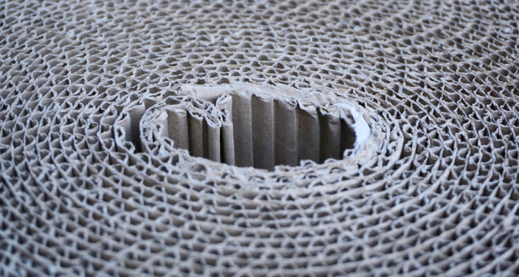 La manufactura da impulso al alza interanual de los precios de productor de industrias