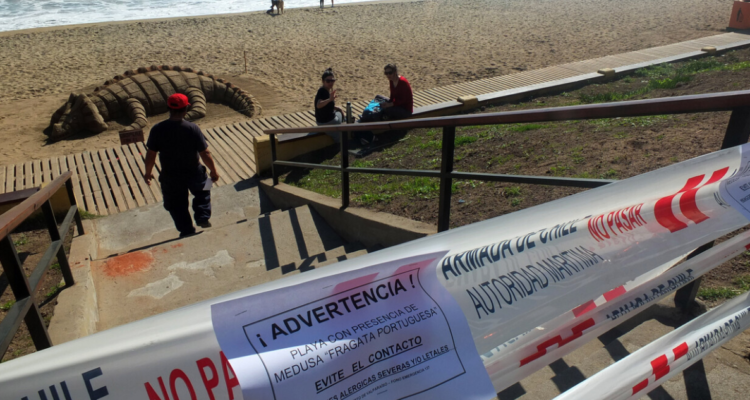 Cierre de playas Zapallar, Cachagua y Viña del Mar por fragata portuguesa