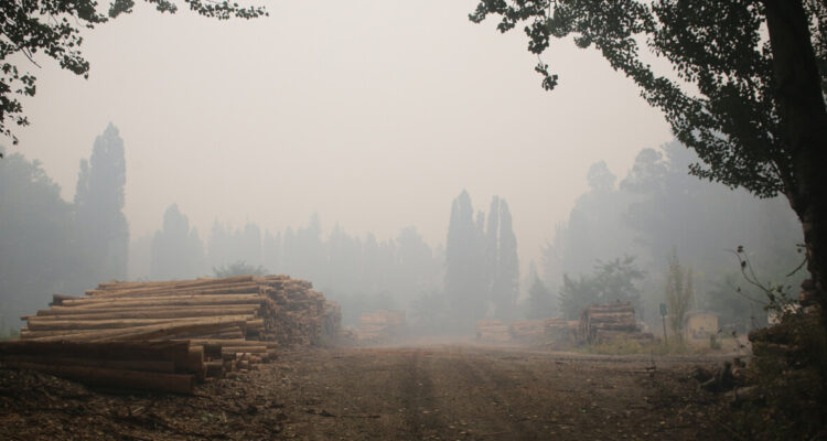 Incendios en predios de CMPC