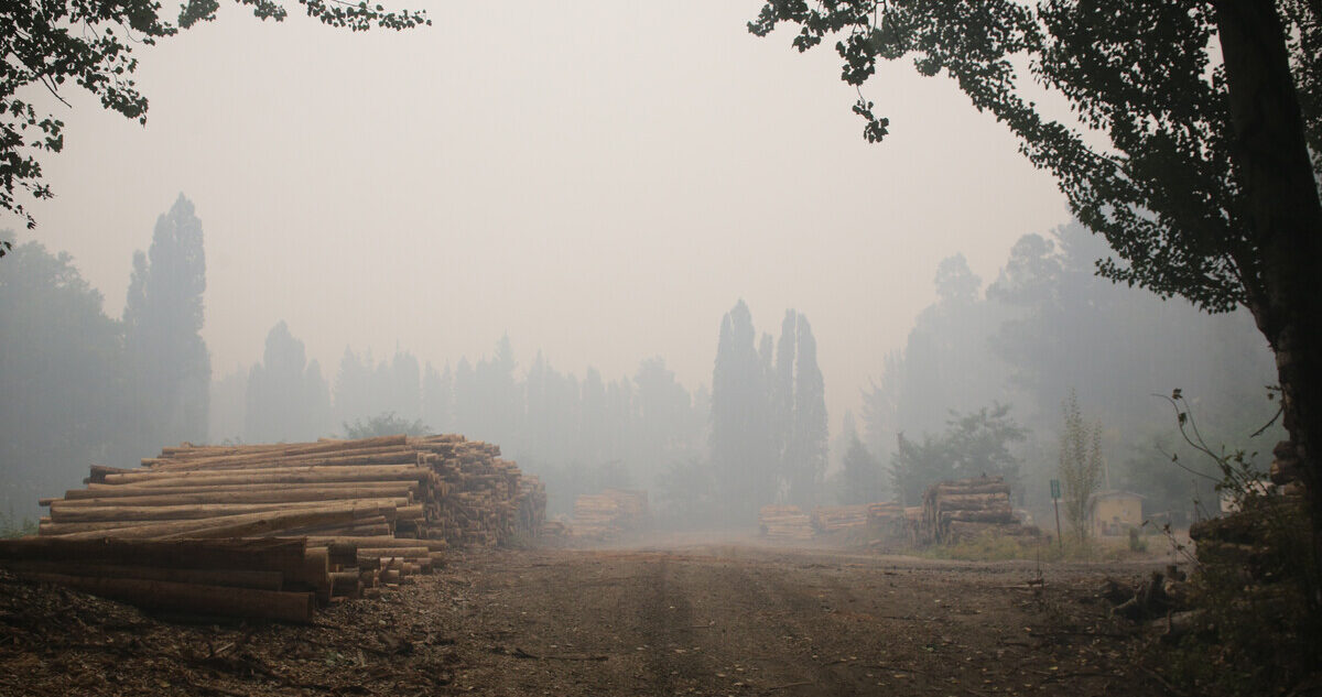 Incendios en predios de CMPC