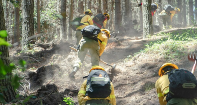 Brigadistas de CMPC combatiendo incendios