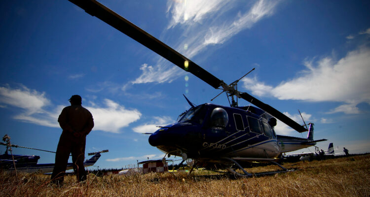 CMPC revela un estimado de sus pérdidas en incendios forestales