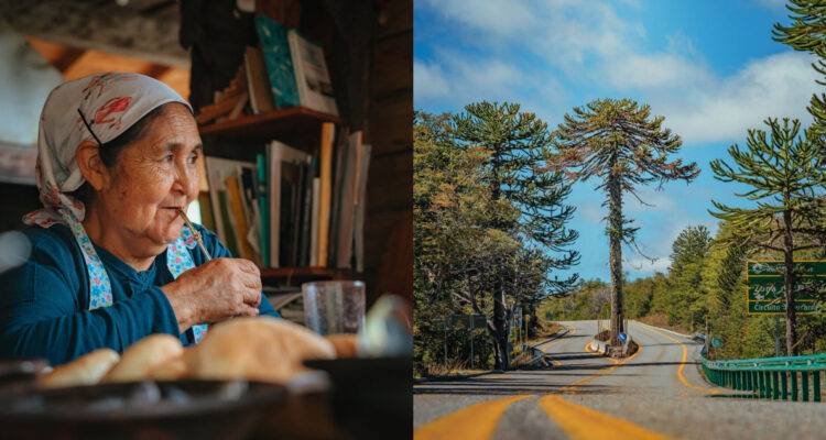 Conoce los atractivos de la Araucanía Lacustre