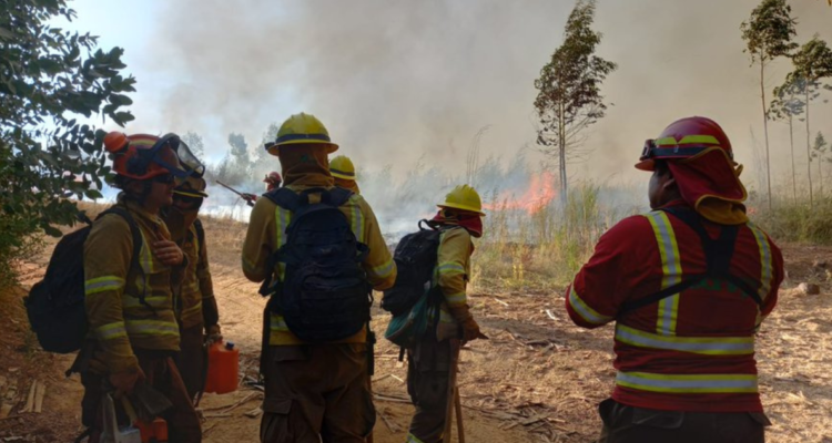 contenido incendio Santa Ana