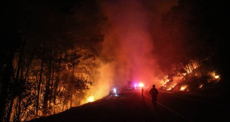 Contienen incendio “Santa Ana” en Santa Juana y Nacimiento: por 12 días fue el más grande del Bío Bío