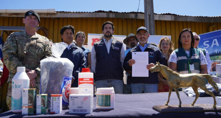Convenio entre Indap y SAG permitirá atención médica de animales lesionados