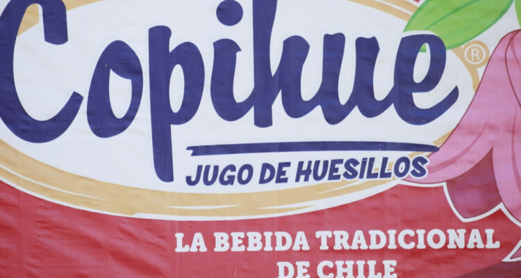 copihue mote con huesillo