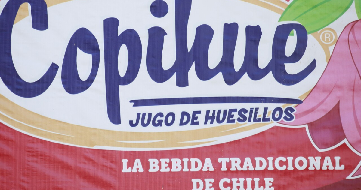 copihue mote con huesillo