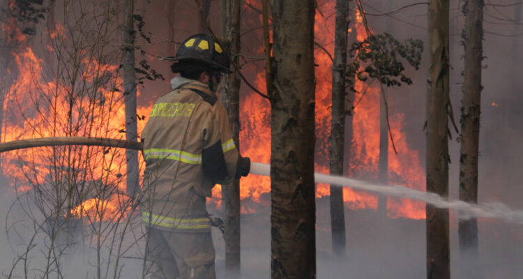 Presidente de Corma por críticas: “No es cierto que las plantaciones sean causantes de los incendios”