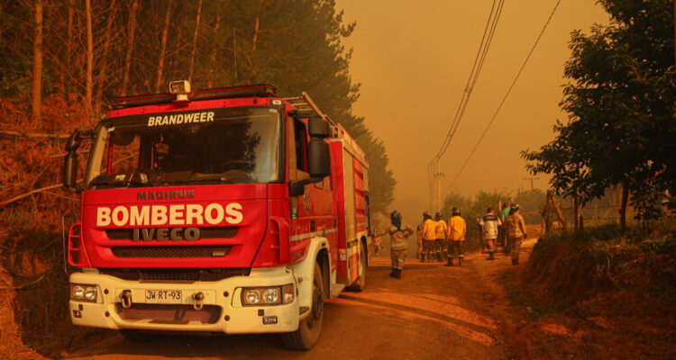 Senapred solicita evacuar Cruce San Roque en Nacimiento por incendios forestales