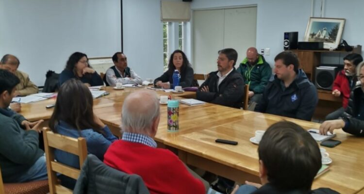 Decepción entre ganaderos de Magallanes tras reunión con autoridades del agro por sequía