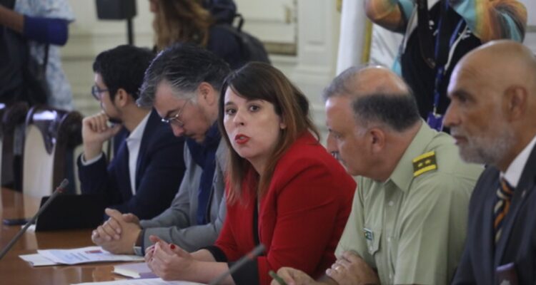 Delegación RM revela disminución del 32,8% en delitos tras inicio del Plan de Recuperación de Espacios