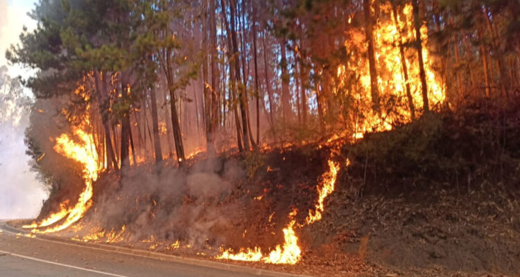 Detienen a sujeto acusado de iniciar fuego en Victoria: comunidad mapuche lo entregó a Carabineros
