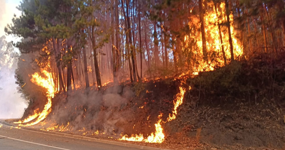 Detienen a sujeto acusado de iniciar fuego en Victoria: comunidad mapuche lo entregó a Carabineros